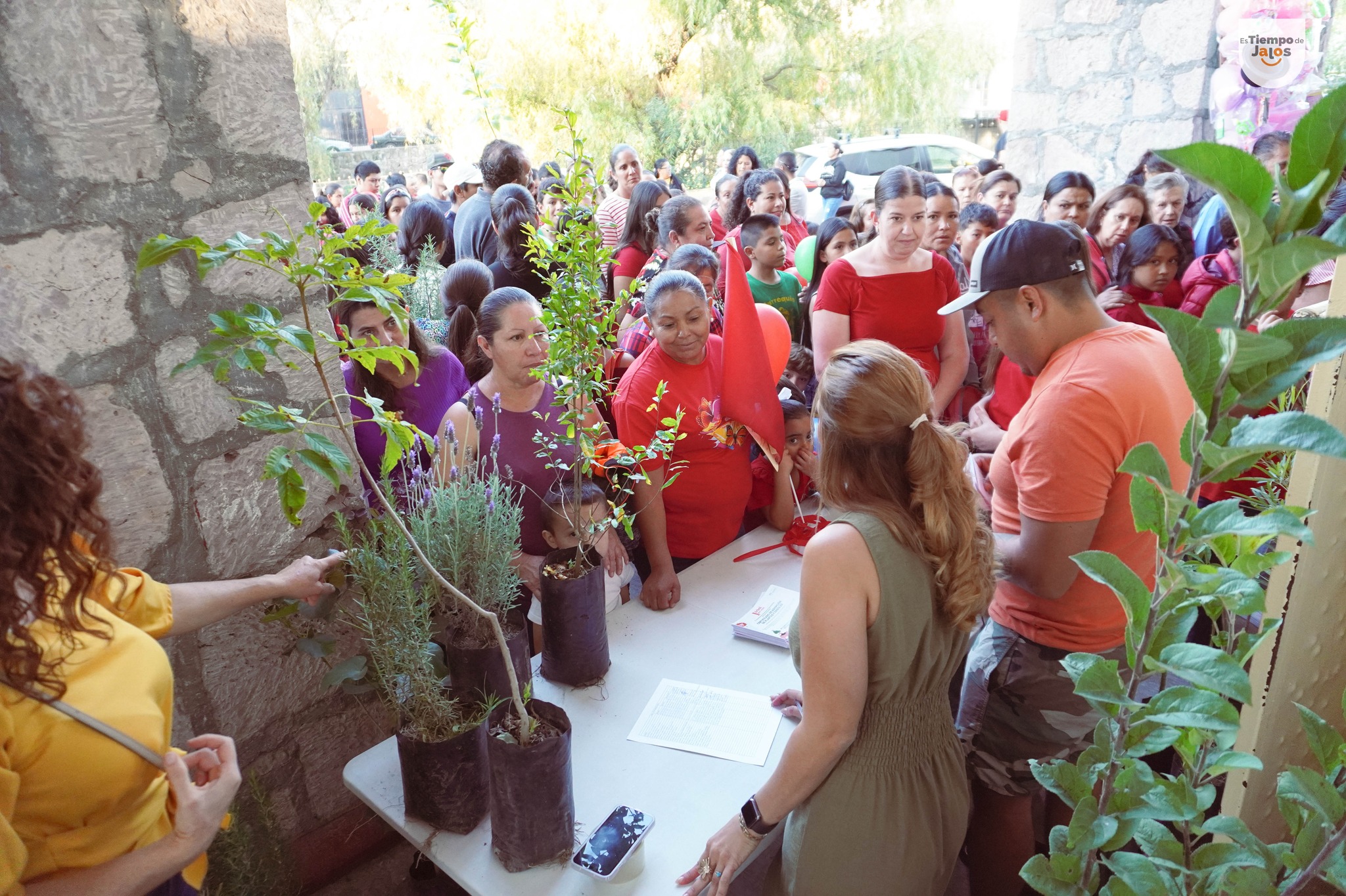 ¡Por cada voto, un árbol plantado!

Con cada voto emitido, los habitantes recibi…