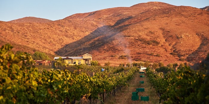 Bodegas F. Rubio – Vinícola y Restaurante