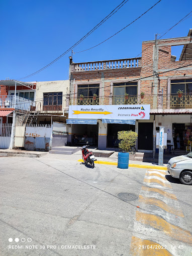 Flecha Amarilla Primera Plus